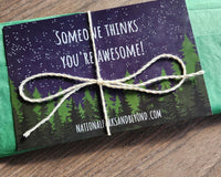 Beyond the Parks National Park Monthly Subscription Box - by National Parks and Beyond