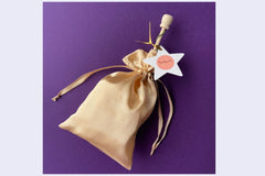 Fancy ballet wand in gold bag