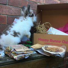 Happy Bunny Club Box