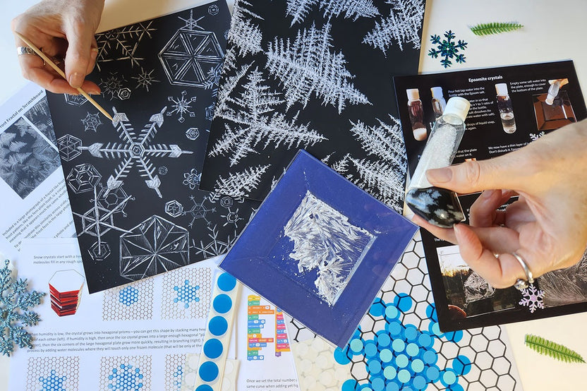 Repeating a simple branching process creates ferns, trees, crystals, and snowflakes. Represent this pattern with art, code, and experiments.