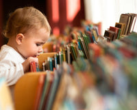 Spanish Board Book Box