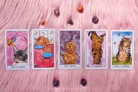 The Tarot + Oracle Box