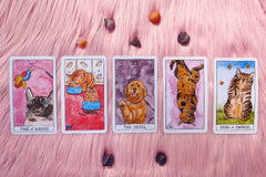 The Tarot + Oracle Box