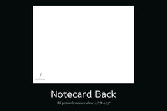 Monthly Postcard Box