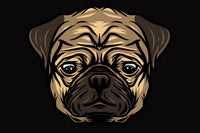Vinny the Pug Sticker Series, head #1 Vinny the Pug's head was inspired by an actual photography of Vinny in Phoenix. 