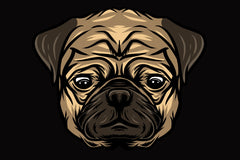 Vinny the Pug Sticker Series, head #1 Vinny the Pug's head was inspired by an actual photography of Vinny in Phoenix. 