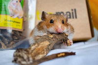 Hamster Mail