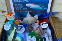 Montessori and Waldorf Inspired Exploration Box | Bloom Box