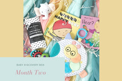 Two cute baby books appropriate for a 2 month old infant.  A colorful rattle teether.  A barbell rattle and a small elephant rattle. 