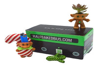 Vannah Subscription Box (Made in North America)