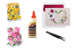 Pressed Flowers Only Monthly