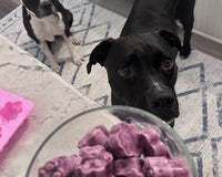 Canine Enrichment Box