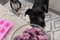 This image is of a black dog standing in front of a bowl of purple frozen treats. There is a silicone dish on the side.