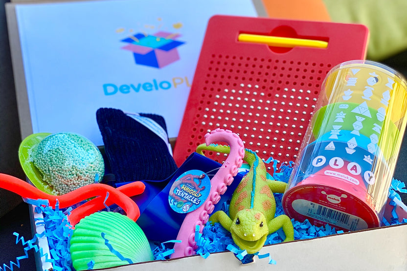 DeveloPLAY Box