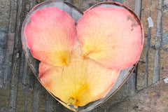 We hand make magnets that are made with whole preserved flowers cast in resin. The one featured in the image are of preserved rose petals.