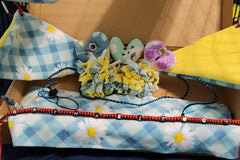 Standard Monthly Box  - 5 Matched Items  - Rats, Hedgehogs, Guinea pigs, Chinchillas, Sugar Gliders, and MORE!!