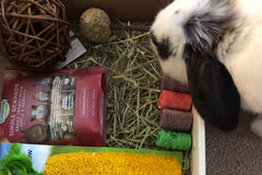 Hop Box