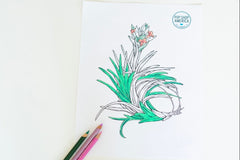 Adult Coloring Monthly