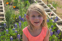 Wildflowers at the school garden, including bluebonnets, Spicewood Elementary, Austin Texas, photo credit to Stephanie Facey