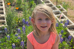 Wildflowers at the school garden, including bluebonnets, Spicewood Elementary, Austin Texas, photo credit to Stephanie Facey