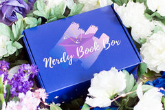 YA Nerdy Book Box