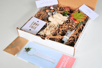 Craft in Style, Monthly Craft Supply Kit Subscription