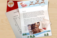 The North Pole Chronicles