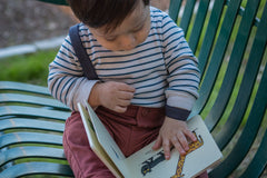 Chamo Book Box