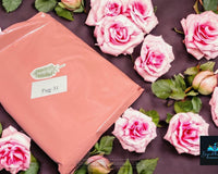 Beyond the Book Club (Young Adult ages 13-17)