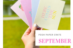 Posh Paper Crate