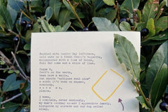 The Typewriter Edition