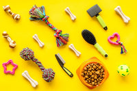 Variety of long lasting bones, teething toys, and grooming accessories. Orange bowl with medium bite kibble.