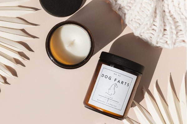 candles and pets dogs and cats candles two candles dogs cats pets animals candles for pet owners and pet lovers