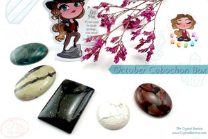 Natural Stone Cabochon Collection Box