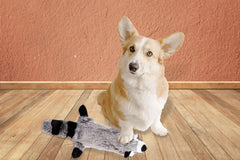 Peculiar Pet Holiday Box - Dog