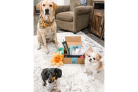 Dog Mom Box