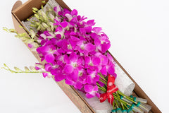 BloomsyBox