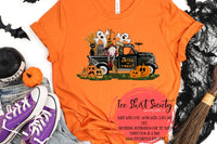 Tee Shirt Society + Spotlight
