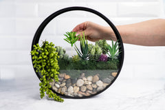 Adults & Crafts Monthly Craft Subscription Box - One of our Past Boxes- Wall Terrarium DIY Craft Kit
