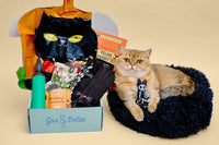 Monthly Gus & Bella Box