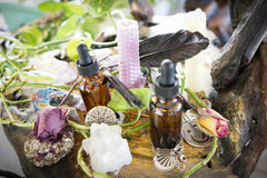 The Witches Roots™ by The Witches Moon®