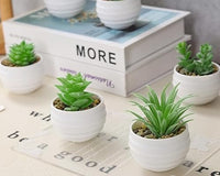 Monthly Subscription Box