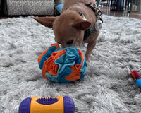 Canine Enrichment Box