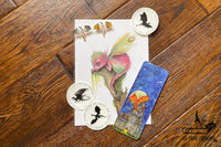 Box for Fantasy Lovers