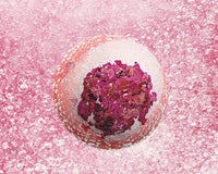 Tranquil Moments Gift Box