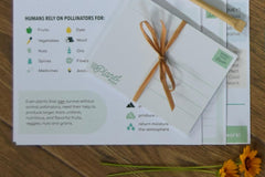 Planet Post Packet
