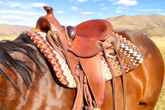 Image showing a Show Skinz Saddle Pad Cover on a horse - a product in one of the monthly Stable Boxes.