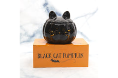Crazy CatLadyBox!!