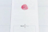 Master Peace Monthly Supply Box (Where Art and Meditation Meet)