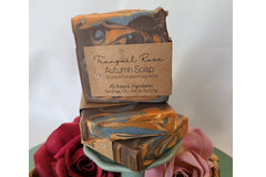 Autumn themed soap; each box will include a holiday or seasonally themed soap.                      